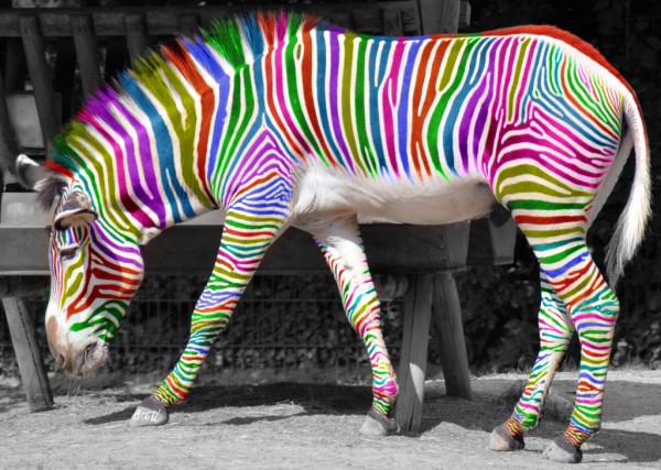 6106475277_7f110b6b9c_b