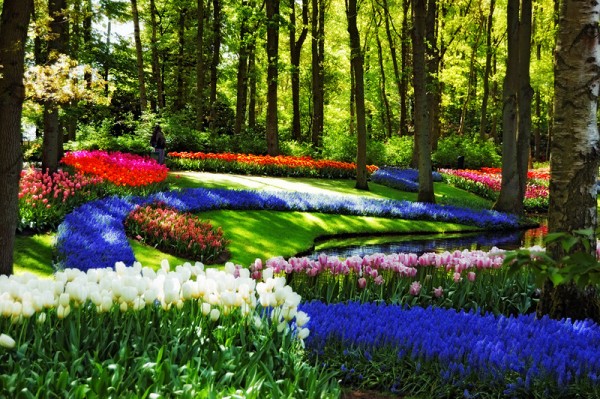 keukenhof