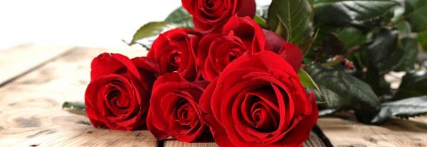 rose-wide